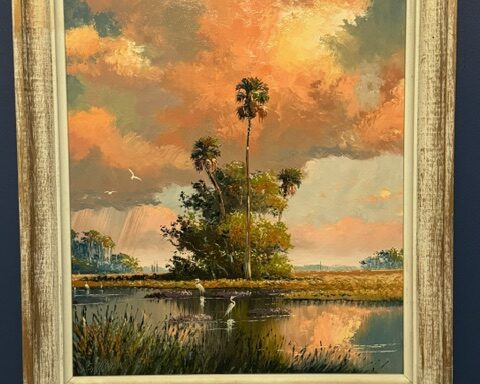 SAM NEWTON…..BACKWATER SPOIL ISLAND WITH PEACH SKY AND RAINSTORM