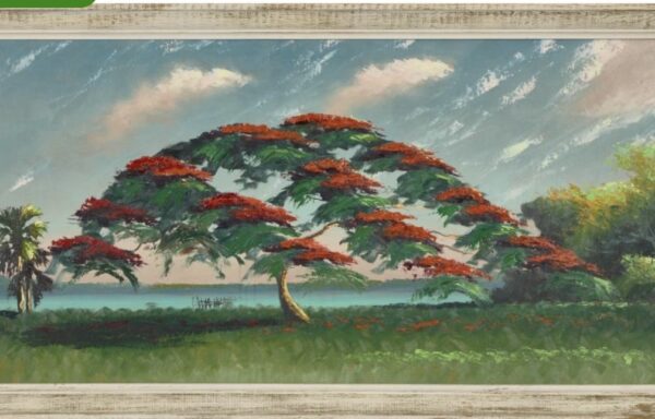 Sam Newton…Royal Poinciana  Masterpiece 24×48