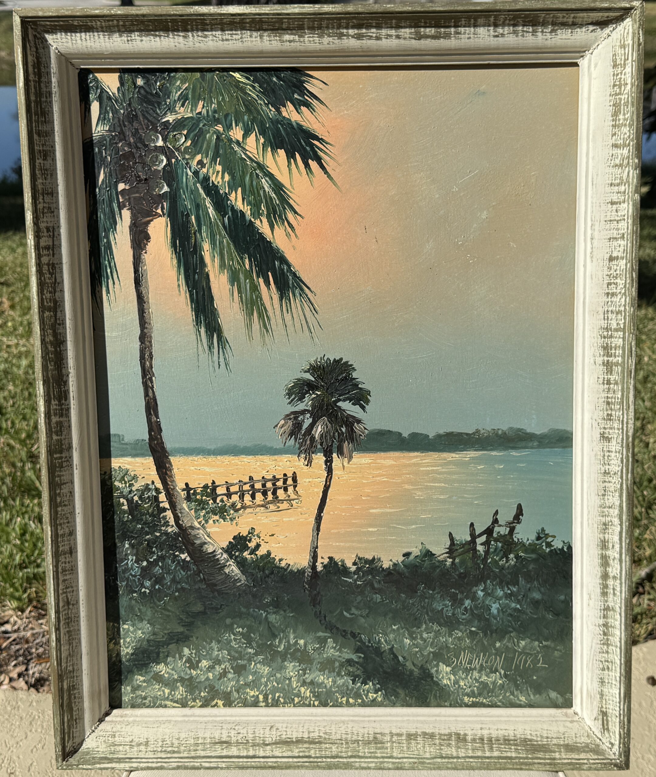 Sam Newton… Peach Morning sun behind palm tree